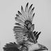 Marlon Wesley Carter - Facebook