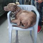 Marlon Grace - Facebook