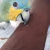 marlongrant86 - @marlongrant86 - TikTok