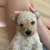 Marlo - @marlo._hancock - TikTok