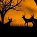 Marlon Hines - Facebook