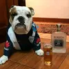 elpoetadelahoja - @marlonmattos508 - TikTok