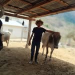 Marlon Matute - @matute689 - Instagram