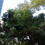 Marlon Matute - @marlon.matute.3576 - Instagram