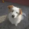 Marlon Jesús moraga Pérez - @bymarlonyt - TikTok