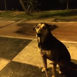 Marlon Obregon - @marlon_jor - Instagram