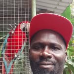 Marlon powell - @marlonpowell9 - Instagram