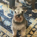 Marlon Roberson - @the_amazing_harvie - Instagram