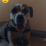 Marlon Sequeira - @marlon4200 - Instagram