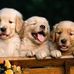 Marlon Shaw - Facebook
