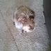 Marlon Shortman - Facebook