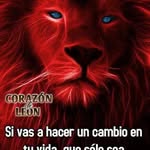 Marlon Solis - @marlon.solis.37604 - Instagram
