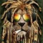 Marlon Soto - @marlon_ms_13 - Instagram