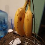 Jasondacosta Dacosta - @marlo_nstephenson - Instagram