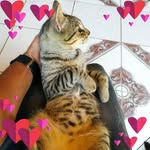 Marlon Suazo - @marlon.suazo.566 - Instagram