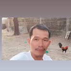 Marlon Torres - Facebook