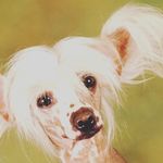Marlowe Smith - @marlowe.smith.7 - Instagram