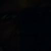marlowesmith928 - @fl0rida.gxcha - TikTok