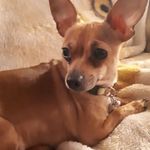 Marilyn keller - @marilynkeller68 - Instagram