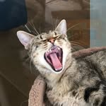 Marilyn Scott - @marilynscott395a - Instagram