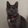 marlysyoung672 - @marlysyoung672 - TikTok