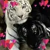 Marna Smith - @marna.smith8 - TikTok