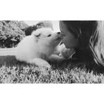 Marnie Austin - @marnieaustin - Instagram