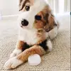 user5929387375420 - @marnie.summer.buchanan - TikTok
