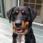 Marnie Lawrence - @marnfrog - Instagram