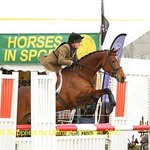 Marnie Long - @diva_dressage_ - Instagram