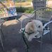 Marie Malone - Facebook