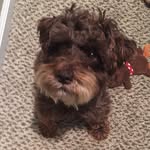 Marnie L Walls - @marnielwalls - Instagram