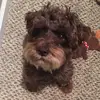 marnielwalls1 - @marnielwalls1 - TikTok