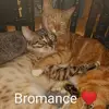 marniewall119 - @marniewall119 - TikTok