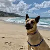 Marnie Warren - @marnie.warren - TikTok