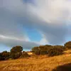 Marnie Williamson939 - @marniejw1 - TikTok