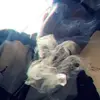marquel jones - @estnintythree - TikTok