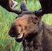 Markus Burman - Facebook