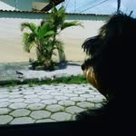 Watson Joseph - @watsonjosephmarquesrossi - Instagram