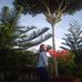 Longlong Mercado - Facebook