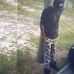 Marquise Davis - Facebook