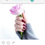 marry - @marry__green__ - Instagram