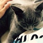 HengYu - @_marscheung - Instagram
