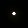Mars Cheung471 - @30563293681 - TikTok