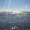 rhansenmars - @rhansenmars - TikTok