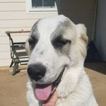 Mars Jones - @marsjones18 - Instagram