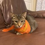 mars jones - @littlegentlemanmars - Instagram