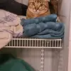 Marsha Gabel - @marsha.gabel - TikTok
