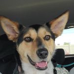 Marlee Marsha Barton - @marleemarsha - Instagram