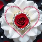 Marufa Bagum - Facebook